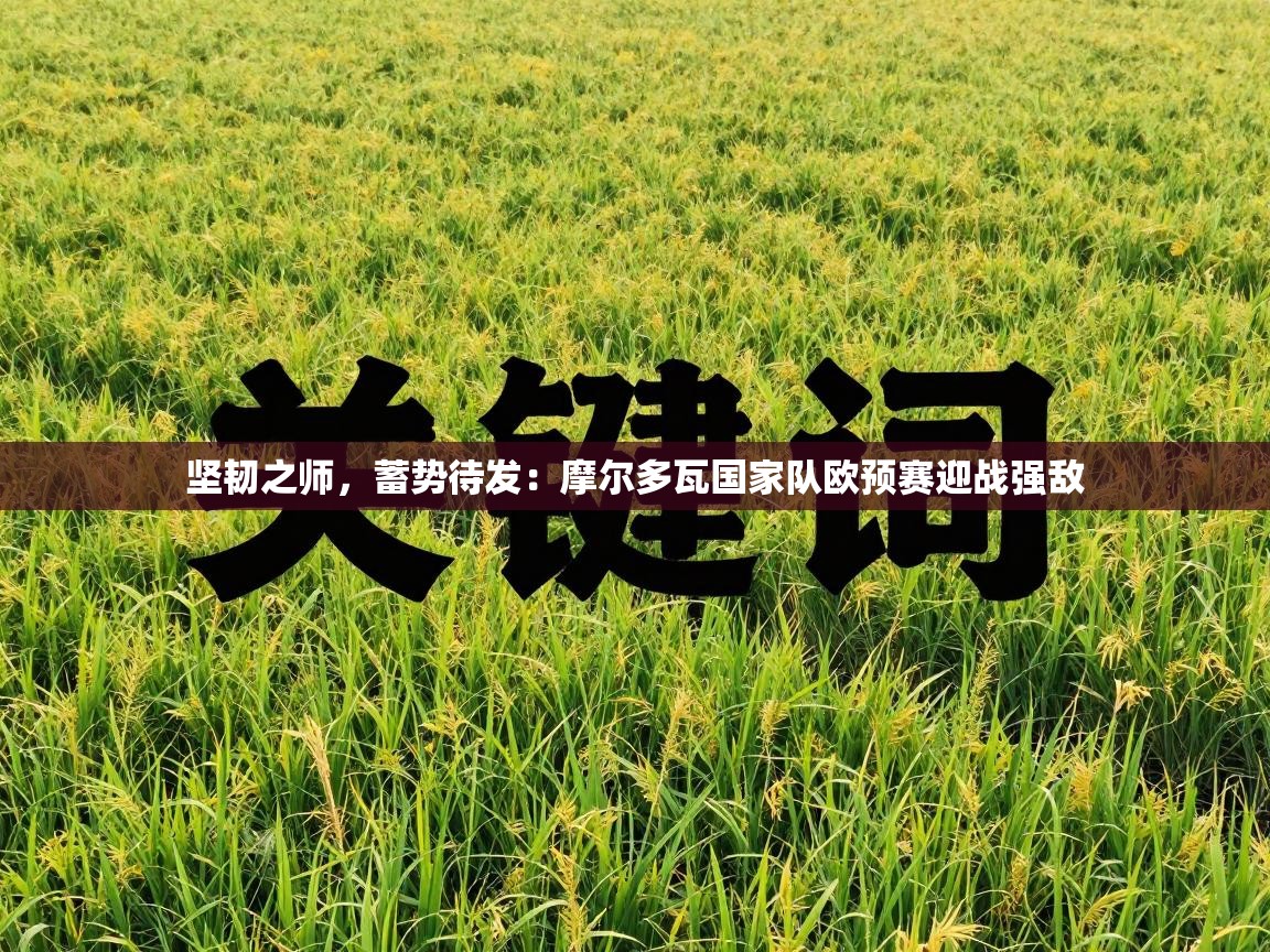 坚韧之师,蓄势待发:摩尔多瓦国家队欧预赛迎战强敌 第2张